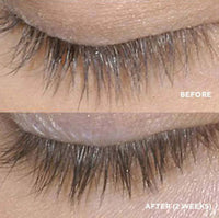 Thumbnail for HydroPeptide Lash 5ml